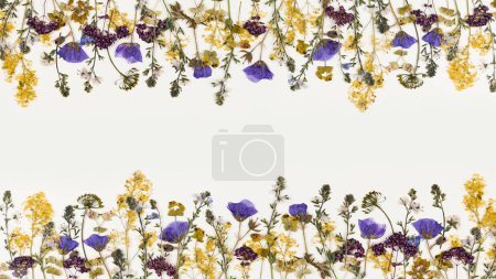 Téléchargez les photos : Composition pattern of pressed dried flowers of field poppies. Frame for design. Place for text. Mockup for greeting card, wedding invitation. - en image libre de droit