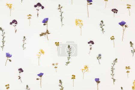 Foto de Pattern of pressed dried flowers of field plants. Mockup for greeting card, wedding invitation. Design for printing on fabric, wrapping paper. Abstraction composition. - Imagen libre de derechos