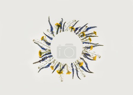 Foto de Pattern of pressed dried wildflowers with place for text in the form of a circle. Mockup for greeting card, wedding invitation. Abstract composition. - Imagen libre de derechos