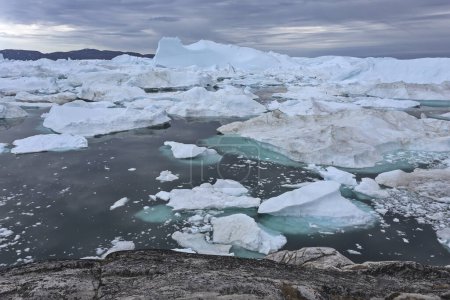 Eisberge stecken am Ilulissat-Eisfjord in Grönland fest