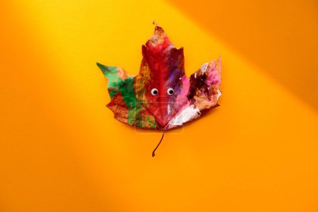 Photo for Cute Leaf with Googly Eyes on a yellow Autumn Background - Royalty Free Image