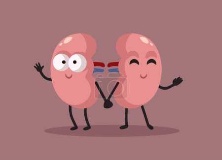 Illustration for Happy Kidneys Holding Hands Vector Cartoon Characters - Royalty Free Image