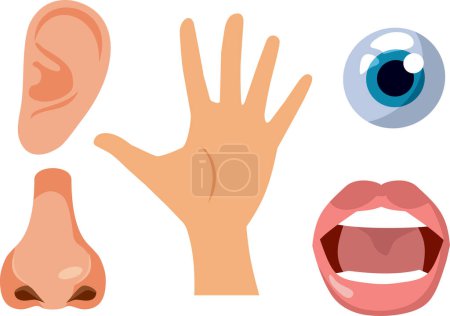 Eye, Nose, ear, Mouth and Hand Vector Cartoon Set
