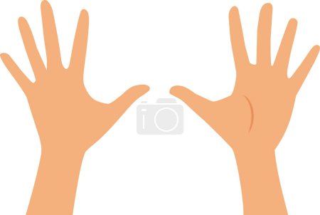 Illustration for Back and Front of a Hand Vector Illustration Set - Royalty Free Image