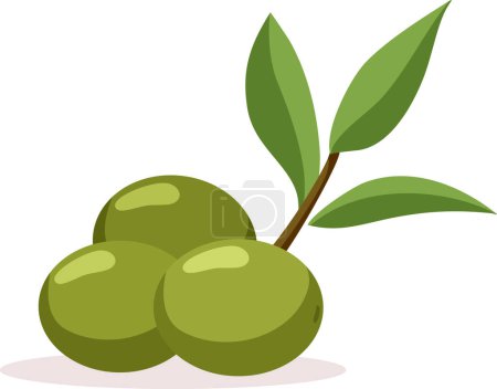 Green Olives Isolated on a White Background Vector Illustration