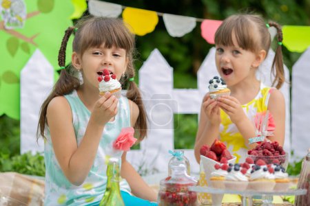 Téléchargez les photos : Two sisters on a summer sweet picnic. Tasty food. Birthday. Celebration. Holidays. Relaxation - en image libre de droit