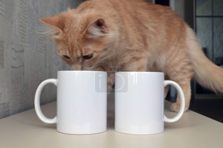 Two white ceramic cups for applying images and photos