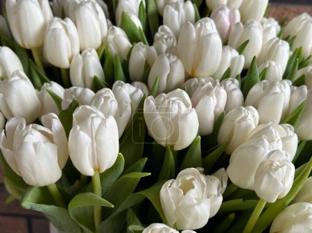Photo for Bouquet of white tulips in a vase. Spring flowers tulips in a decorative jug. Beautiful delicate flowers as a gift for a loved one. - Royalty Free Image