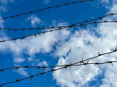Barbed wire against a blue sky. Restricted area,live barbed wire. Concept: imprisonment, slavery, captivity
