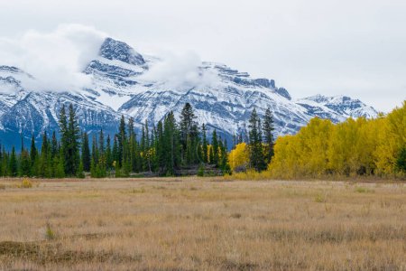 Photo for Rocky mountains during the fall, around Saskatchewan river. Canada - Royalty Free Image