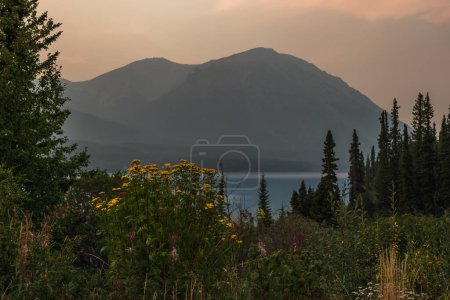 Photo for Sunset above the wild nature with mountain in the background - Royalty Free Image