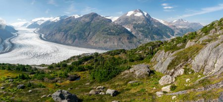 Photo for Salmon Glacier and beautiful alpine meadows - Royalty Free Image