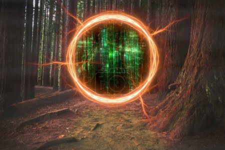 Portal mágico entre bosque y realidad de código informático verde