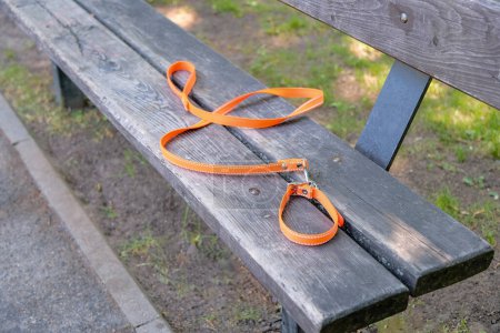 Téléchargez les photos : Un collier orange pour un petit chien se trouve sur un banc vide dans le parc. - en image libre de droit