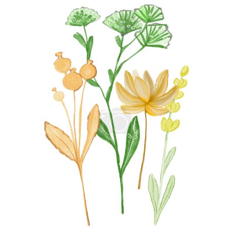 Téléchargez les photos : Fleurs sèches dessinées à la main. Plantes aromatiques. Carte, fond, design. - en image libre de droit