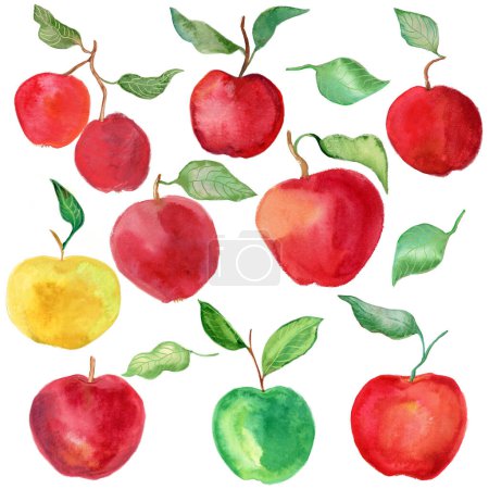 Photo for Set of different apples. Hand drawn watercolor illustration. - Royalty Free Image