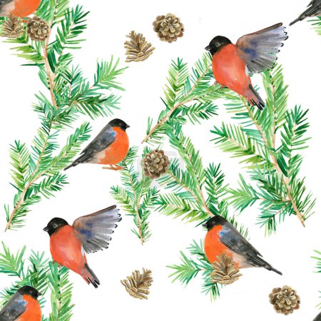 Téléchargez les photos : Illustration dessinée à la main sur des oiseaux dans les branches de pins avec des cônes - en image libre de droit