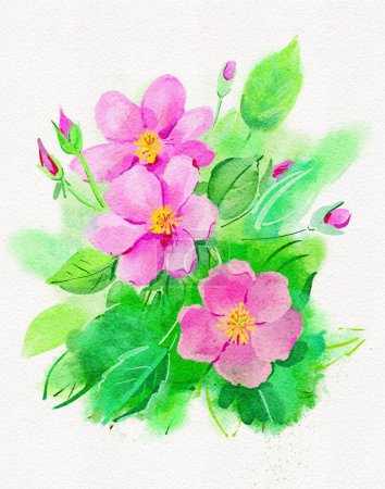 Photo for Watercolor drawing wild rose flowers with buds and leaves, hand drawn illustration - Royalty Free Image