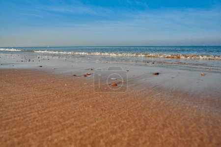 beach of Egmond aan Zee, Netherlands