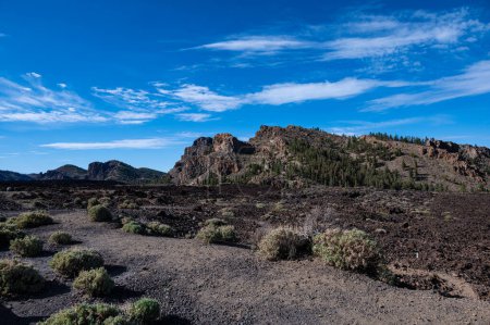 el paisaje de las Narices en Tenerife