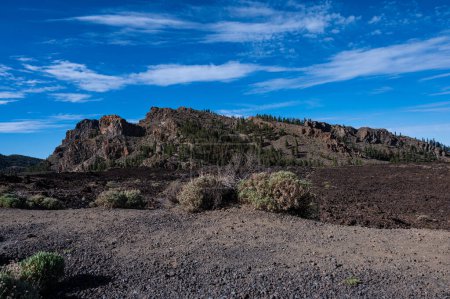 le paysage las Narices à Tenerife