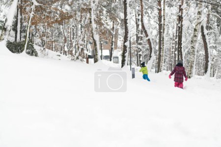 Photo for Borhter and Sister Having Fun Together in Beautiful Winter Park - Royalty Free Image