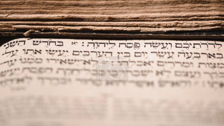 Photo for Page of old worn shabby jewish book Torah. Selective focus on snippet Hebrew Bible text that translates in english: offer the Passover sacrifice to Jehovah. Korban Pesach. Closeup - Royalty Free Image