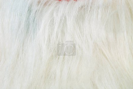 Photo for Santa Claus beard as a background. It occupies the entire surface of the image. Close-up. - Royalty Free Image