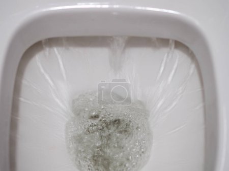 Téléchargez les photos : Égoutter l'eau dans un bol de toilette en céramique blanche - en image libre de droit