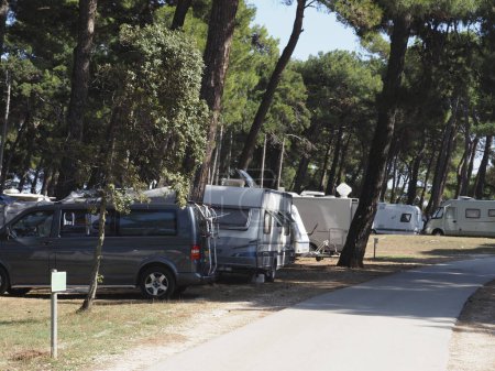 Camping au milieu d'une pinède avec camping-cars et tentes