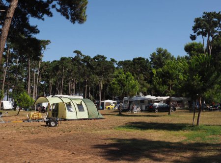 Zelten inmitten eines Kiefernwaldes mit Wohnmobilen und Zelten