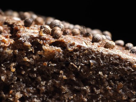 Texture of rye bread on a dark background
