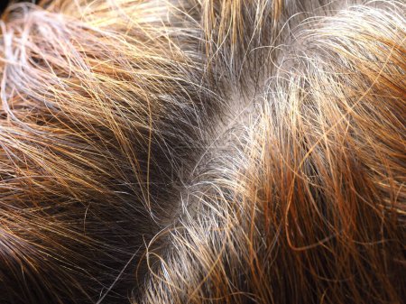 Vorbereitung auf das Färben grauer Haare mit Henna: Natürliche Pflege und Schönheit