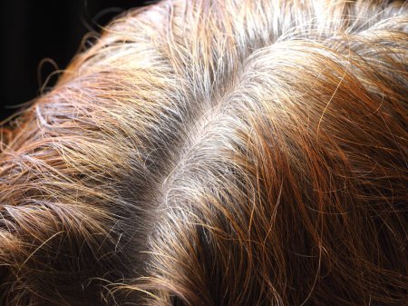 Foto de Preparación para teñir el cabello gris con henna: cuidado natural y belleza - Imagen libre de derechos
