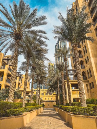 Téléchargez les photos : Souk Al Bahar près de Dubai Mall, Downtown Dubai, Émirats arabes unis. Photo de haute qualité - en image libre de droit