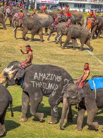 Foto de Surin Elephant roundup festival 17 noviembre 2023. Foto de alta calidad - Imagen libre de derechos