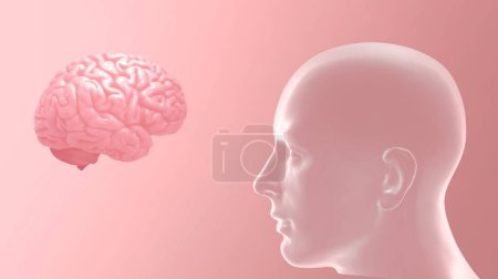 Photo for Human head with brain and pink background-3D illustration - Royalty Free Image