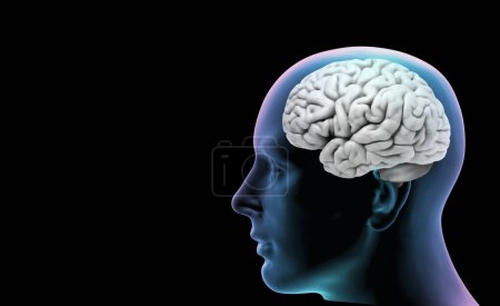 Foto de Human head with brain and black background-3D illustration - Imagen libre de derechos