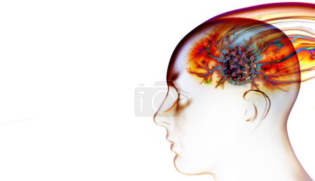Téléchargez les photos : Tête humaine colorée avec cerveau abstrait et fond blanc illustration 3D - en image libre de droit