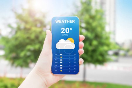 Weather forecast mobile application. A woman's hand holds a mobile phone and looks at the weather forecast for the day on a park with a trees background. warm weather summer spring