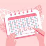 Menstrual calendar and control and pregnancy planning. Flat vector illustration. Female hands mark the day of menstruation isolated on pink background. top view