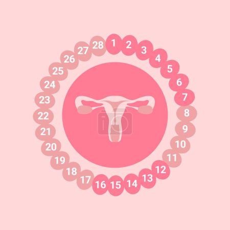 Ilustración de Concepto de menopausia con útero femenino sobre fondo rosa - Imagen libre de derechos
