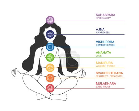 Illustration for The seven chakra system of the human body. Woman silhouette with chakra icons with title. Seven chakras on meditating yogi woman, vector illustration. Lotus position - Royalty Free Image