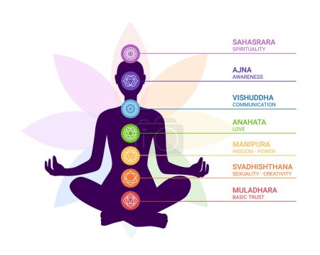 Illustration for Human body silhouette with chakras icons with titles. Meditating woman in lotus position. Chakras icons illustration - Royalty Free Image