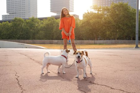 Foto de Joven chica adolescente de pelo largo en ropa deportiva naranja. Un par de pequeños perros lindos Jack Russell terrier caminando con doble correa. Soleado paseo de verano con mascotas en la ciudad. Composición horizontal - Imagen libre de derechos