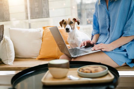Foto de Buscando portátil de Internet sentado en la cafetería con su pequeño perro Jack Russell terrier. Trabajo remoto o estudio con espacio de coworking adecuado para mascotas. - Imagen libre de derechos