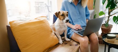 Foto de Mujer usando portátil sentado en la cafetería con su pequeño perro Jack Russell terrier. Trabajo remoto o estudio con espacio de coworking adecuado para mascotas. Banner horizontal largo - Imagen libre de derechos