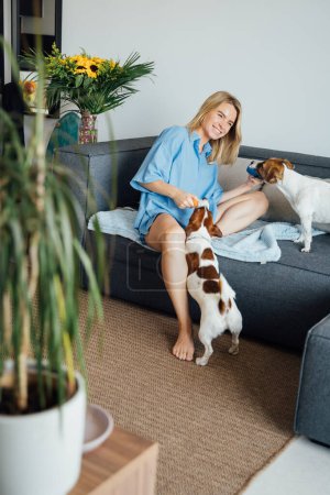 Foto de Mujer rubia sonriente jugando con dos perros de compañía Jack Russell terriers. Domingo fin de semana en casa. Sentado en un sofá gris en la habitación luminosa apartamento moderno. Planta verde en primer plano - Imagen libre de derechos