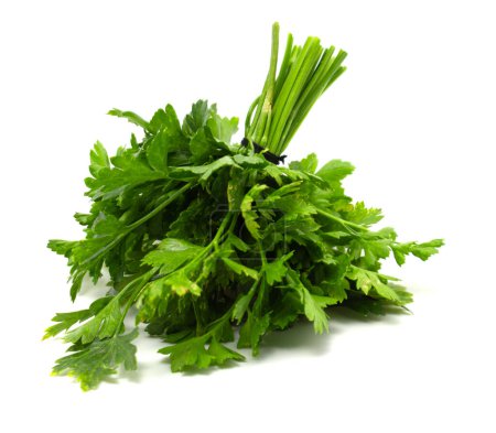 A bouquet of fresh green parsley on a white background