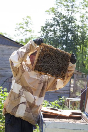 Téléchargez les photos : L'apiculteur tient un cadre avec des abeilles dans ses mains - en image libre de droit